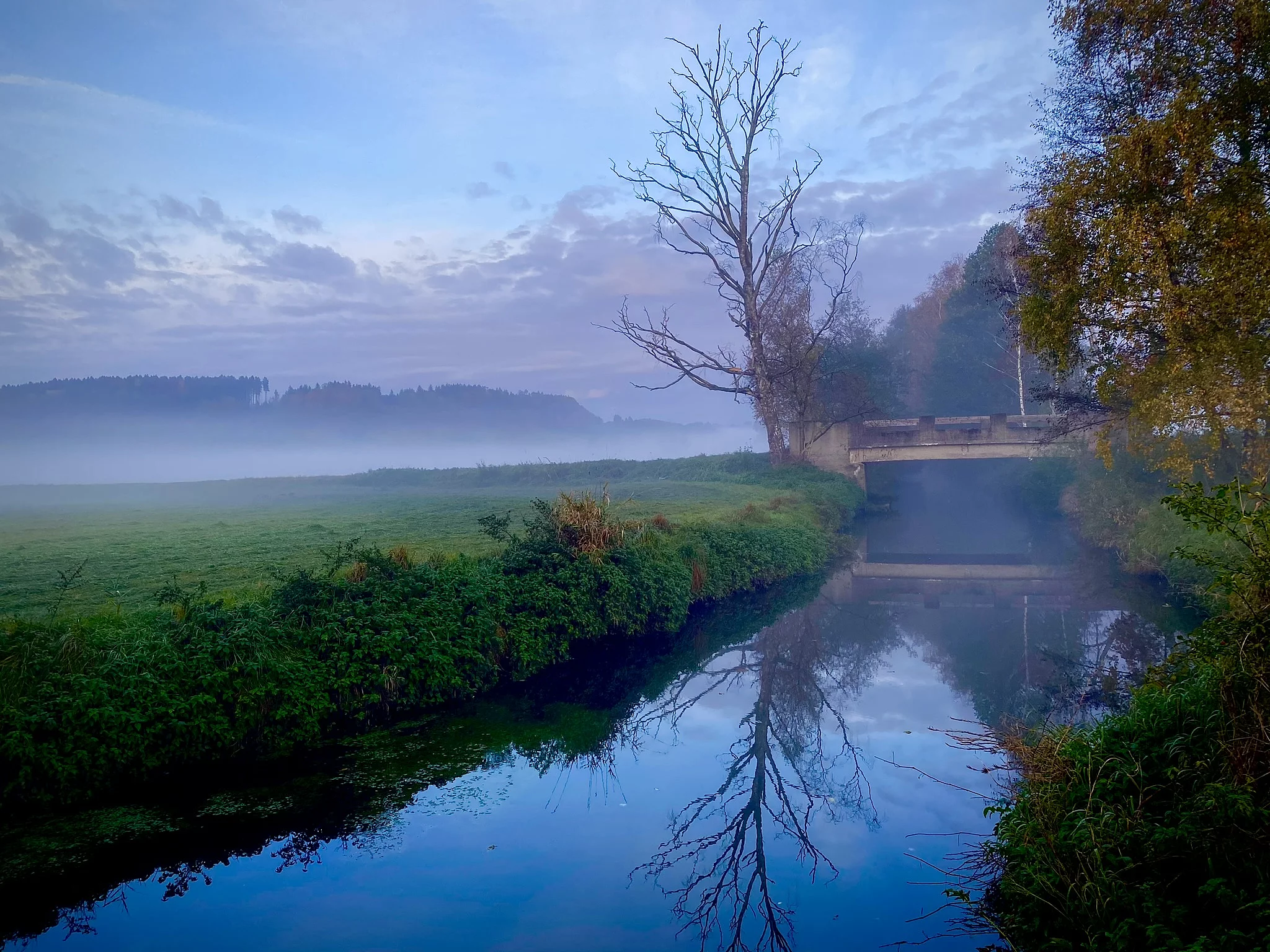 Attel in der Dämmerung